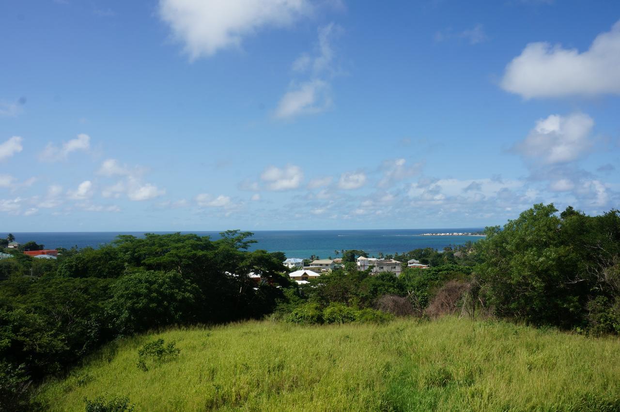 Faith'S Villa Tobago Diamond Exterior foto